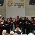 011_Brand-New-Singers_Konzertplatz_Landesgartenschau_c_Lutz-Berger_web