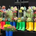 Hessisches_Chorfestival202320
