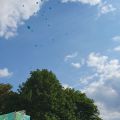 Hessisches_Chorfestival2023_35