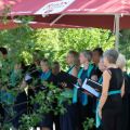 Hessisches_Chorfestival2023_Neuwald9